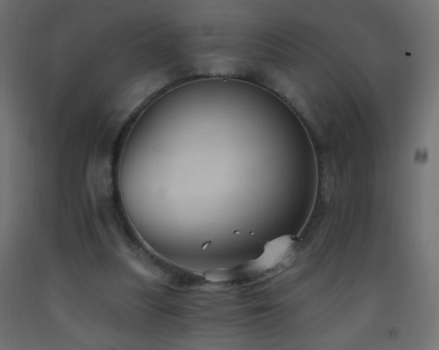 X0000093380251200710111501
