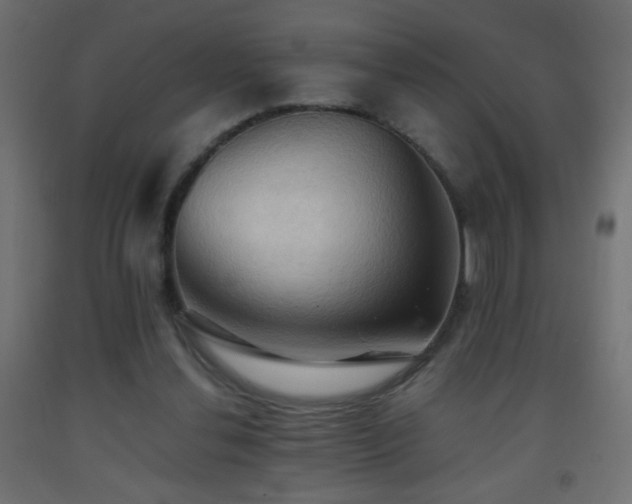 X0000093380252200710111501