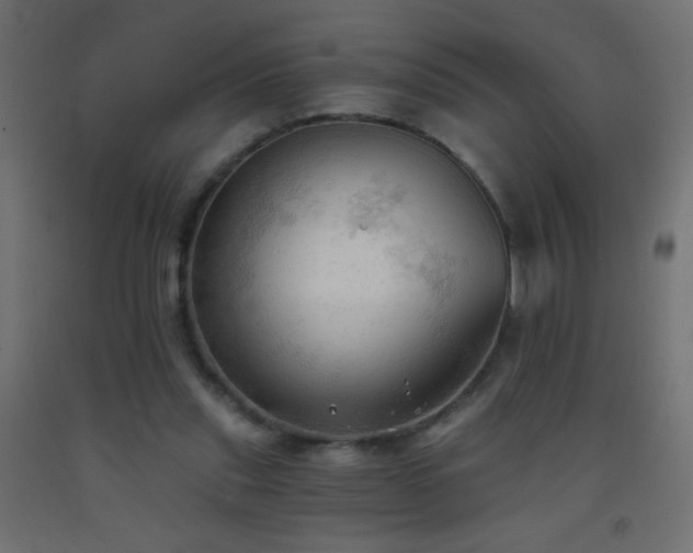 X0000093380253200710111501