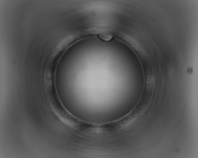 X0000093380254200710111501
