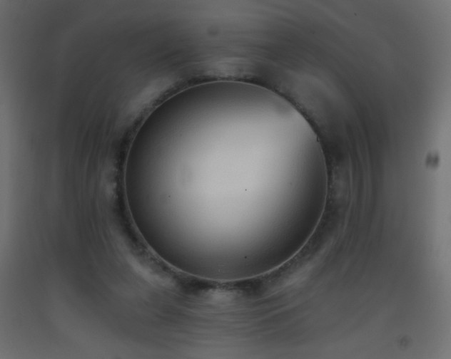X0000093380255200710111501