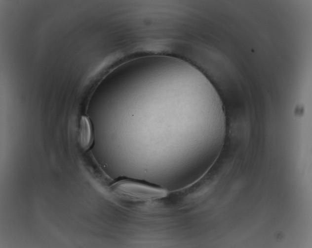 X0000093380256200710111501