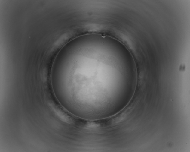 X0000093380257200710111501