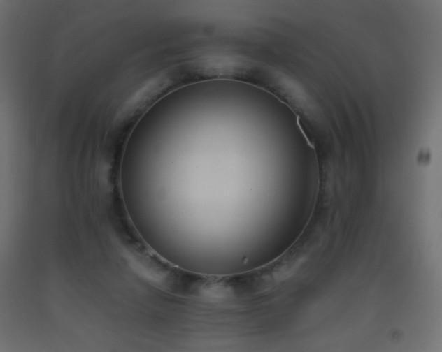 X0000093380258200710111501
