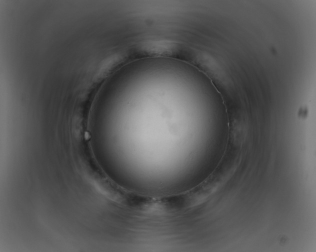 X0000093380259200710111501