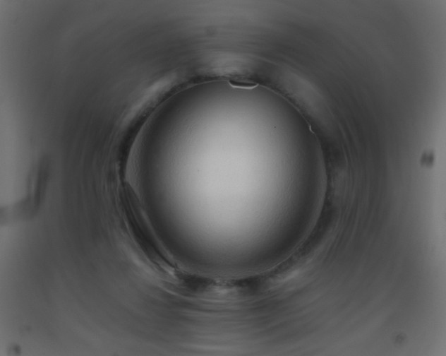 X0000093380260200710111501