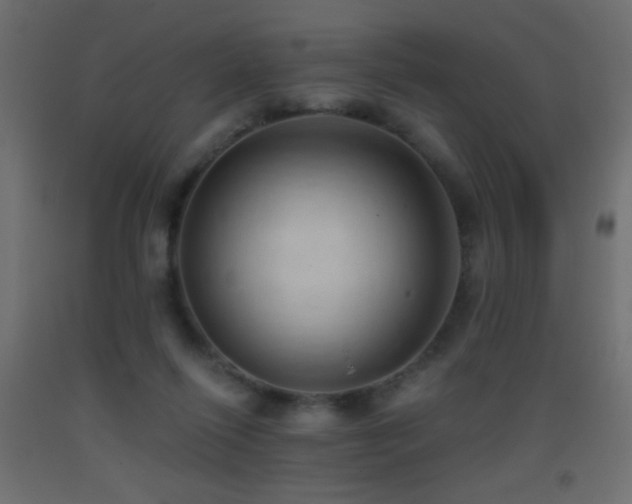 X0000093380262200710111501