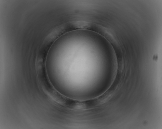 X0000093380263200710111501