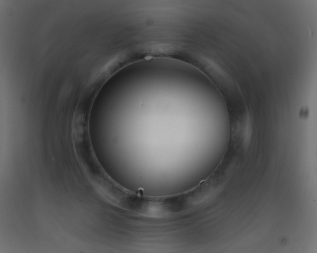 X0000093380264200710111501