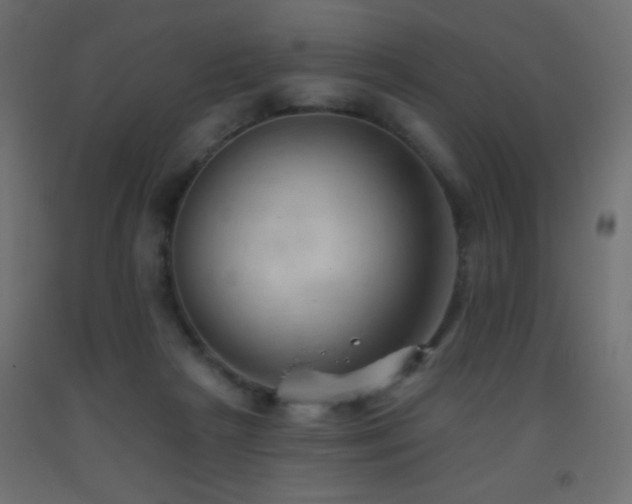 X0000093380265200710111501