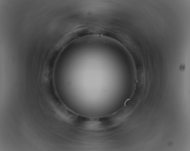 X0000093380266200710111501