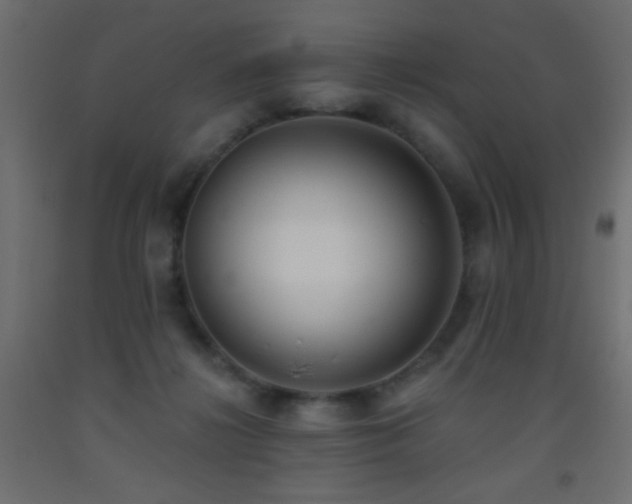 X0000093380268200710111501