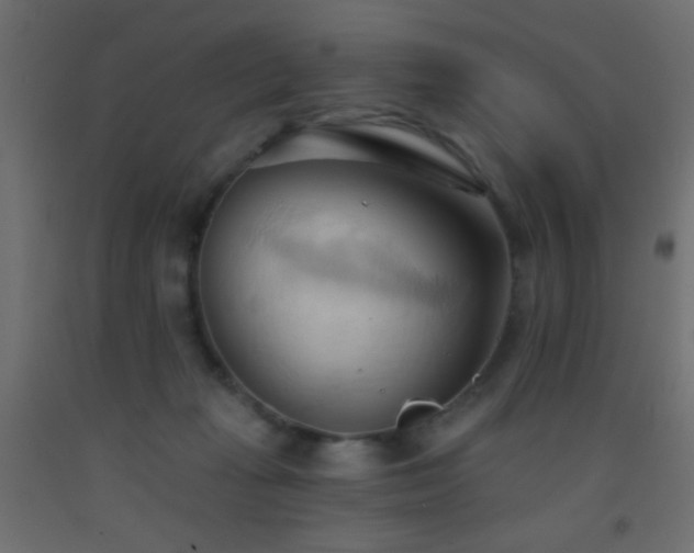 X0000093380269200710111501