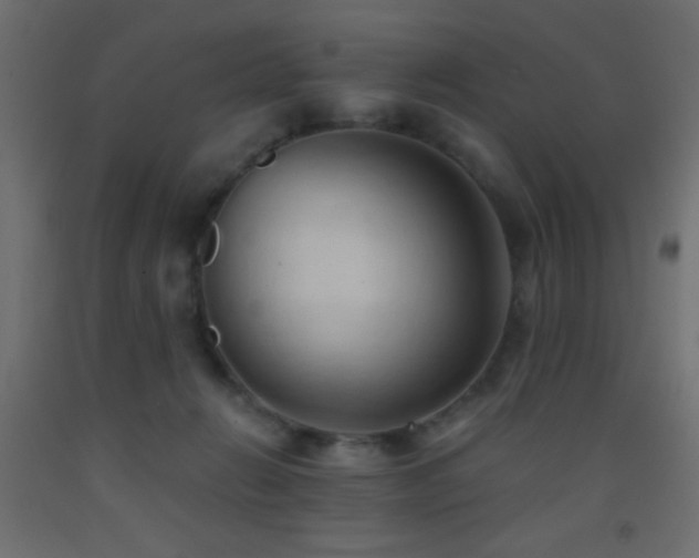 X0000093380270200710111501