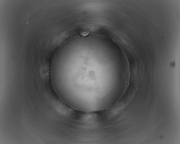 X0000093380274200710111501