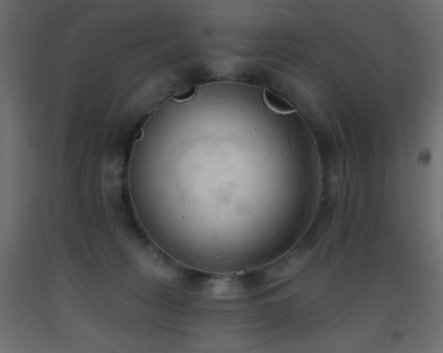 X0000093380275200710111501