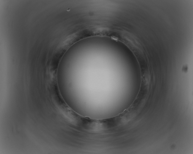 X0000093380276200710111501