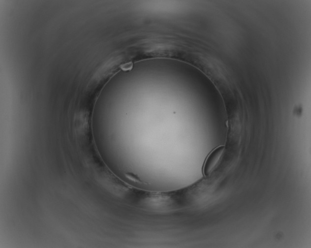 X0000093380278200710111501
