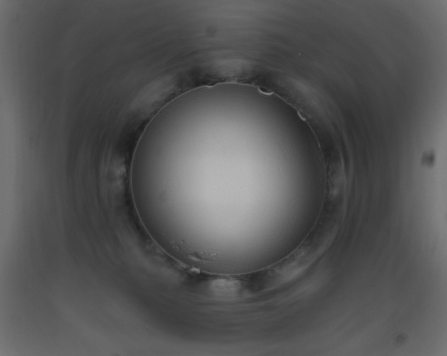 X0000093380279200710111501