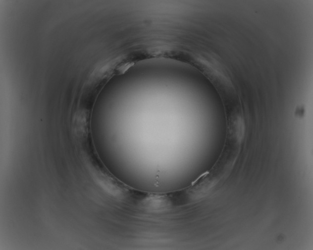 X0000093380280200710111501