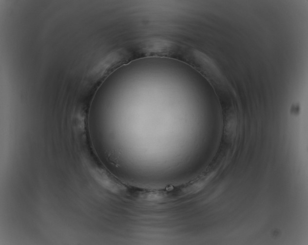 X0000093380282200710111502