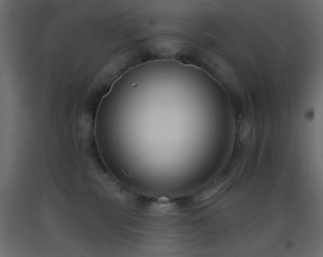 X0000093380283200710111502