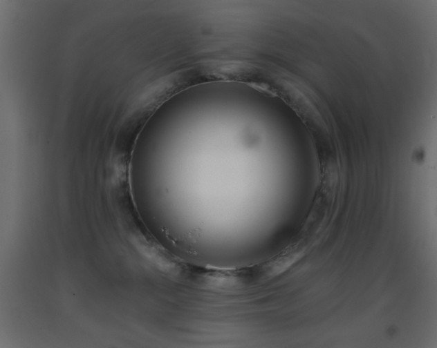 X0000093380284200710111502