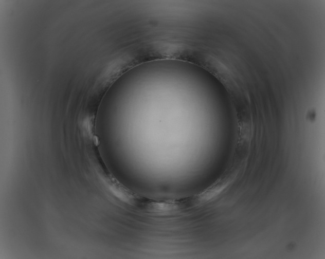 X0000093380286200710111502