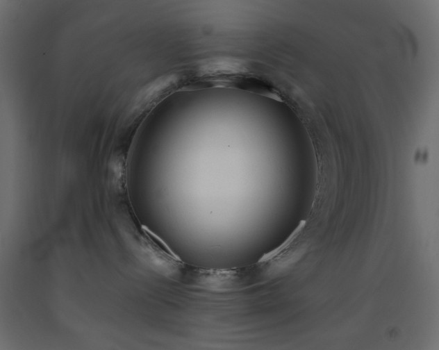 X0000093380288200710111502