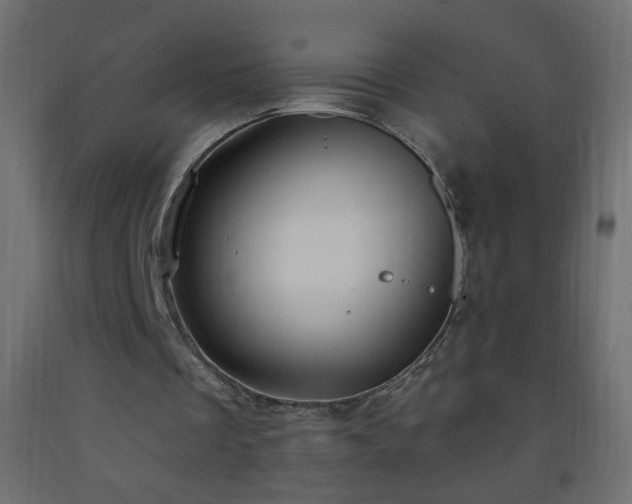X0000093380289200710111501