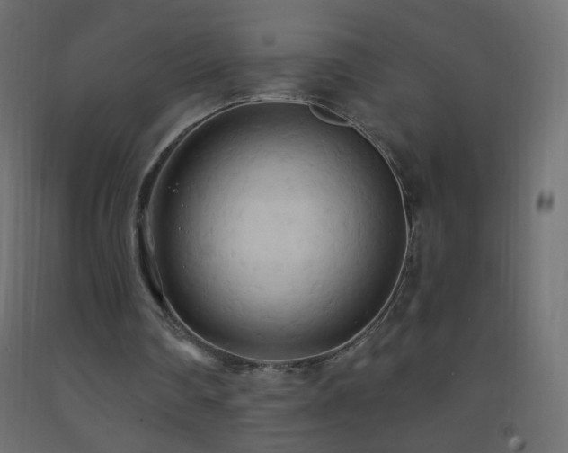 X0000093380290200710111501