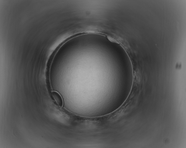 X0000093380292200710111501