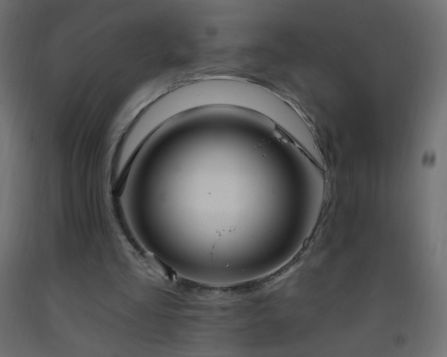 X0000093380293200710111501