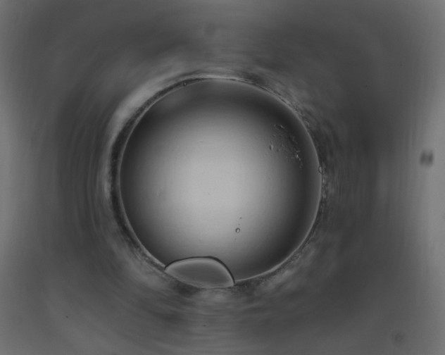 X0000093380294200710111501