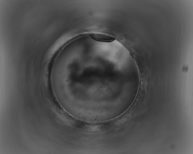 X0000093380295200710111501
