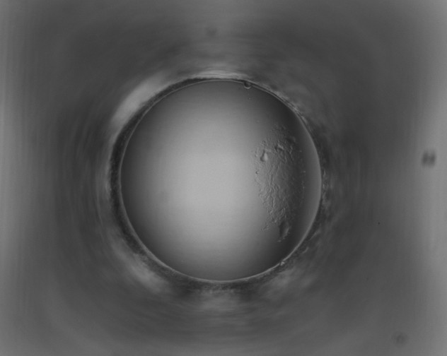 X0000093380296200710111501