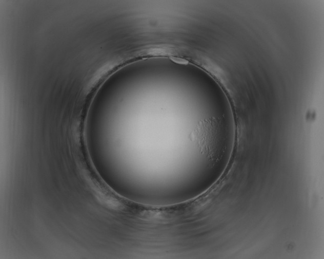 X0000093380297200710111501