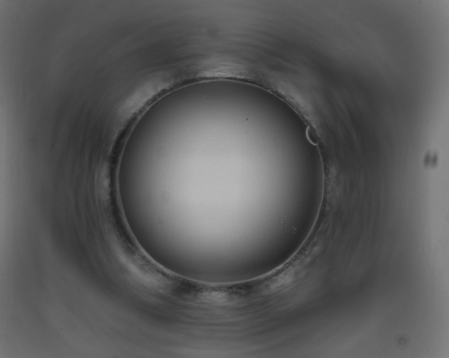 X0000093380298200710111501
