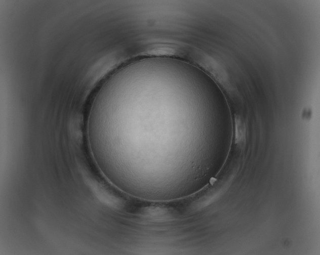X0000093380300200710111501