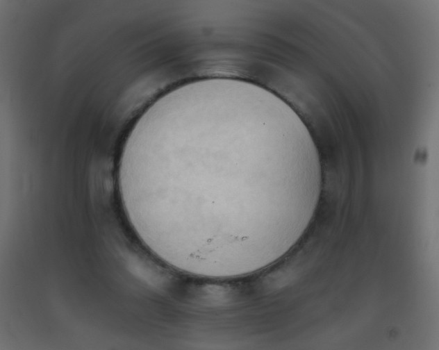 X0000093380302200710111501