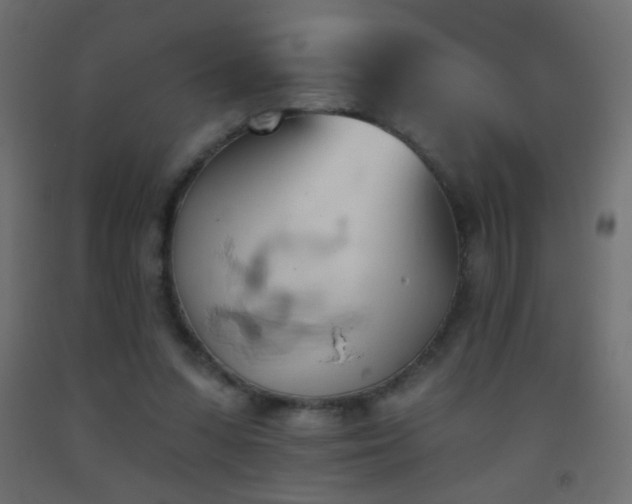 X0000093380303200710111501
