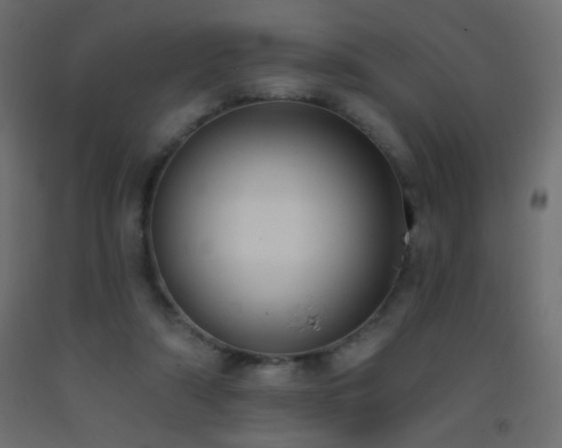 X0000093380306200710111501