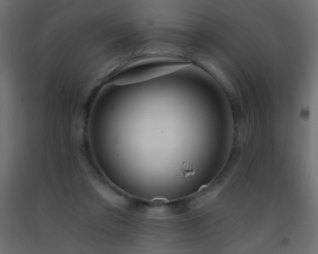 X0000093380309200710111501