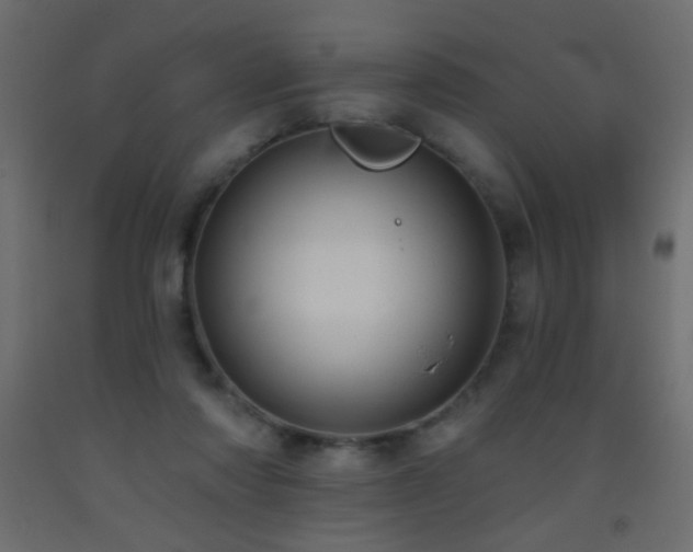 X0000093380310200710111501