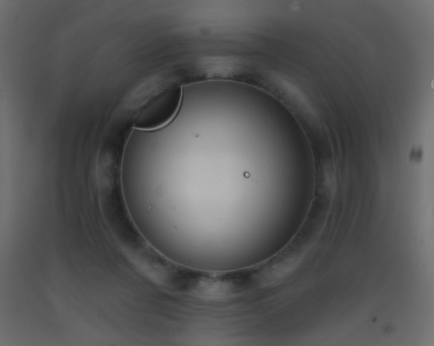 X0000093380311200710111501