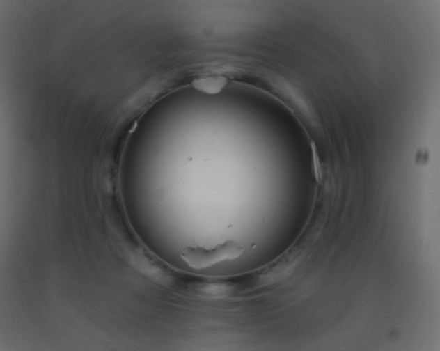 X0000093380313200710111501