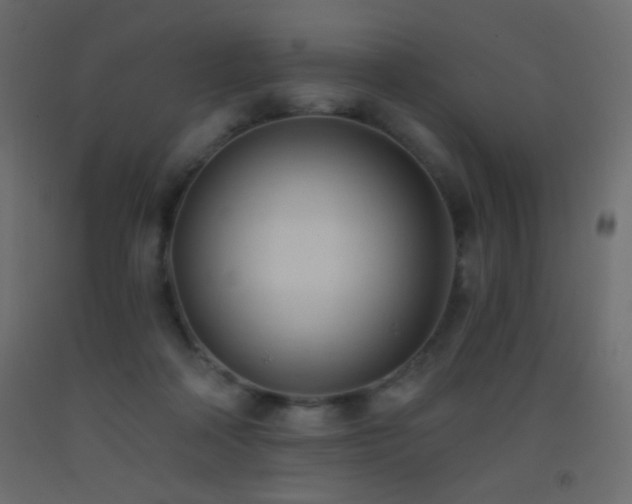 X0000093380314200710111501