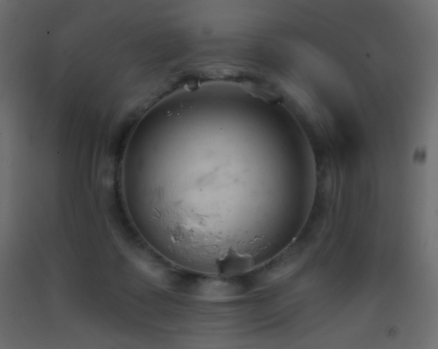 X0000093380315200710111501