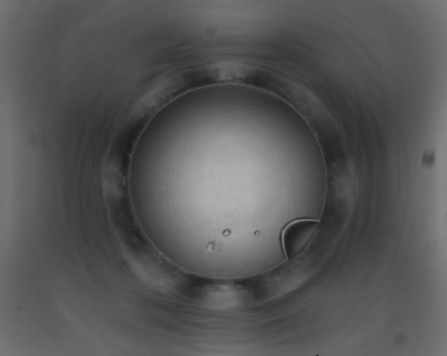 X0000093380316200710111501