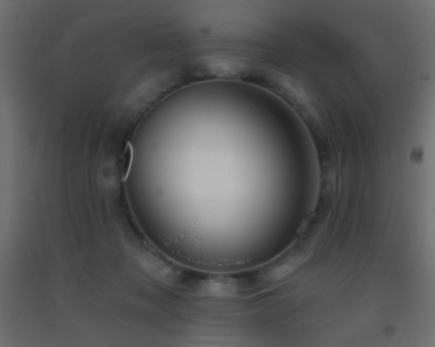X0000093380317200710111501